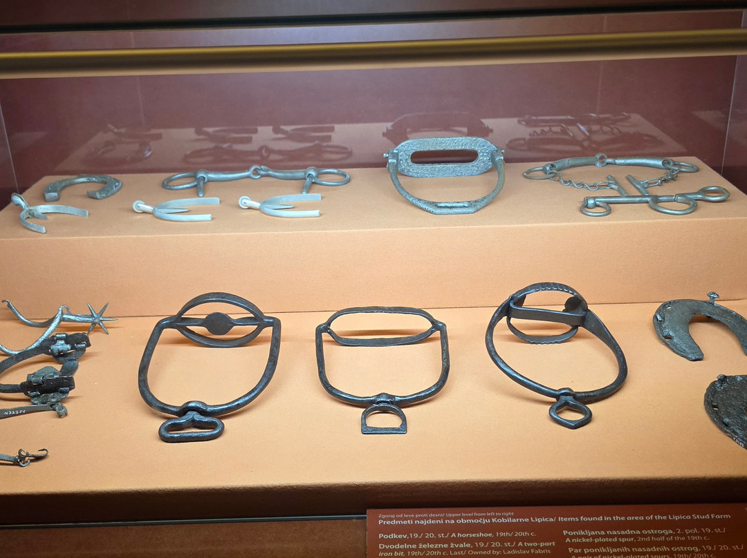 Lipizzan Museum Lipikum-Lipica必去景点