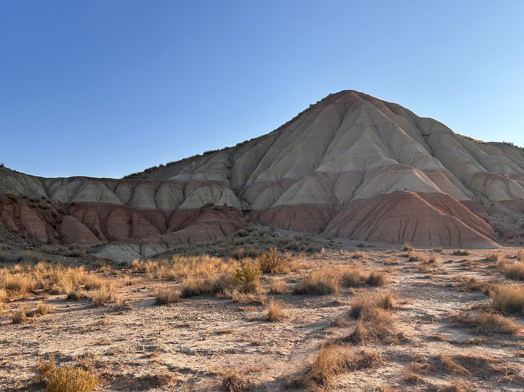 Bardenas Tour