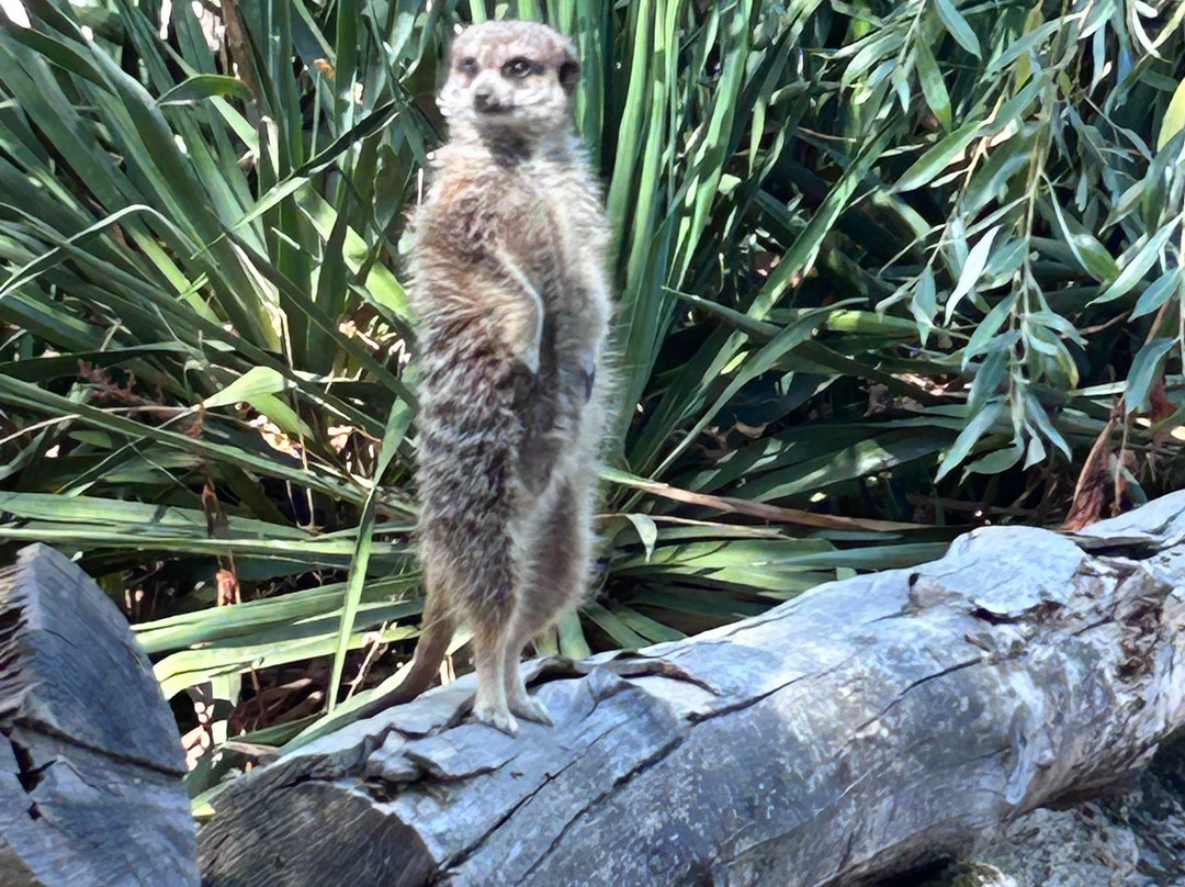 Zoo du Bois d'Attilly-Ferolles-Attilly必去景点