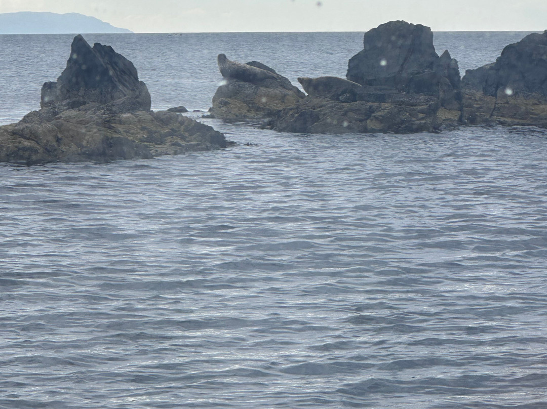 Islay Sea Adventures-Port Ellen必去景点