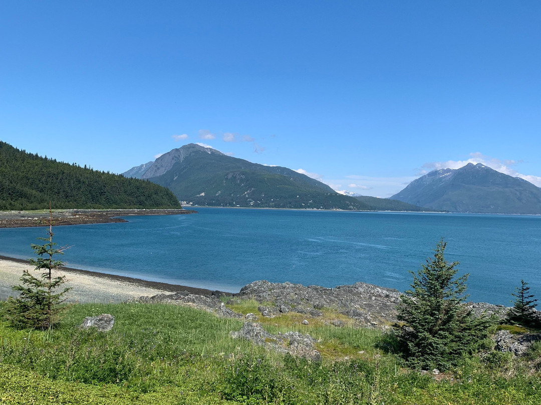 Chilkat Bald Eagle Preserve-海恩斯必去景点