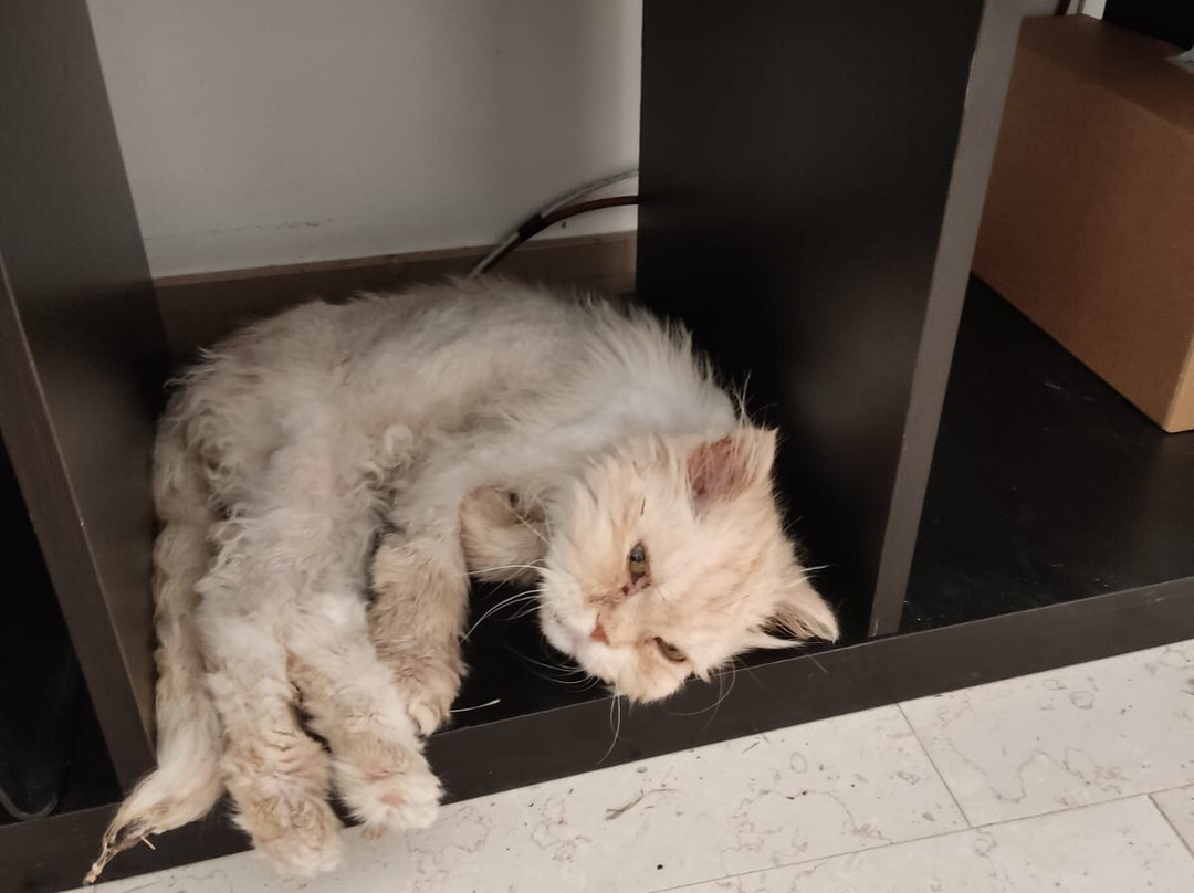Agriturismo Donna Clementina主图