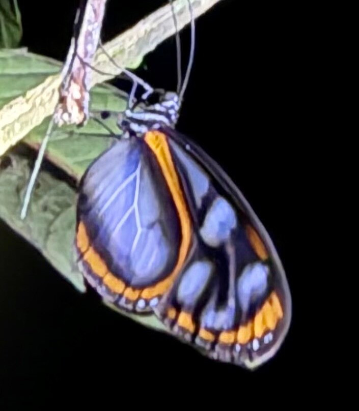 Napo Wildlife Center Ecolodge主图