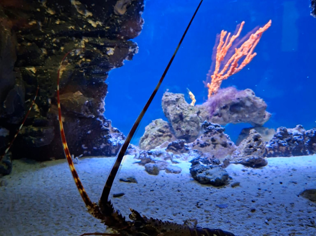 Acquario Del Salento-Santa Maria al Bagno必去景点
