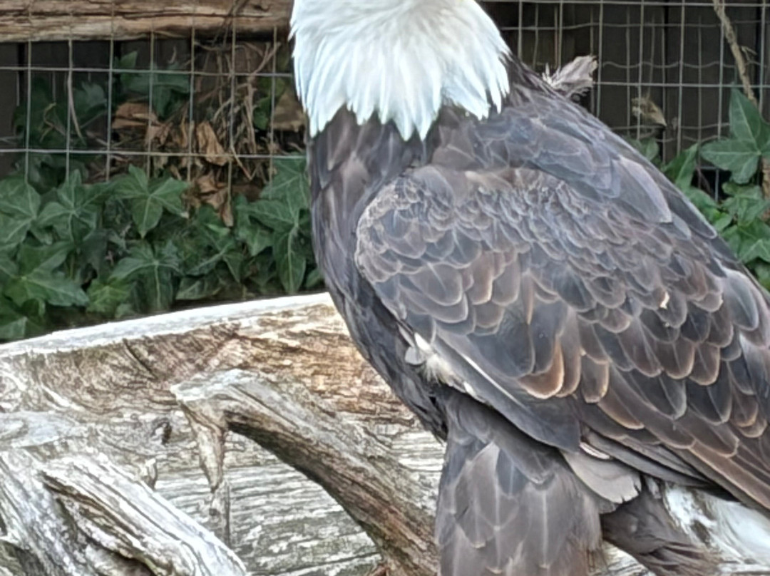 North Island Wildlife Recovery Centre-Errington必去景点