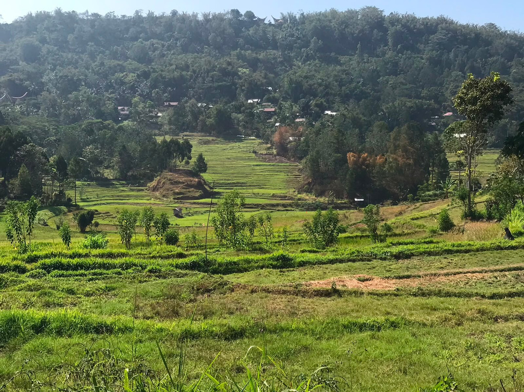 Toraja Village-兰特包必去景点