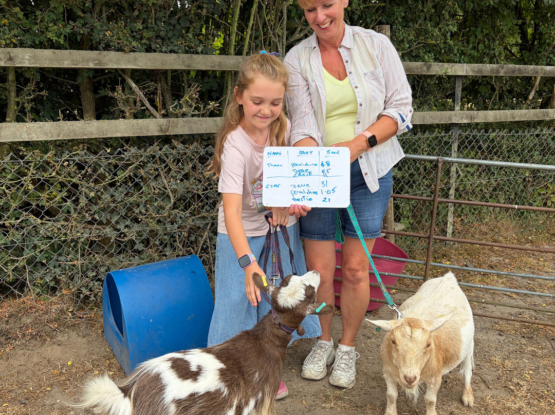 Little Goats At Brockenhurst-Brockenhurst必去景点