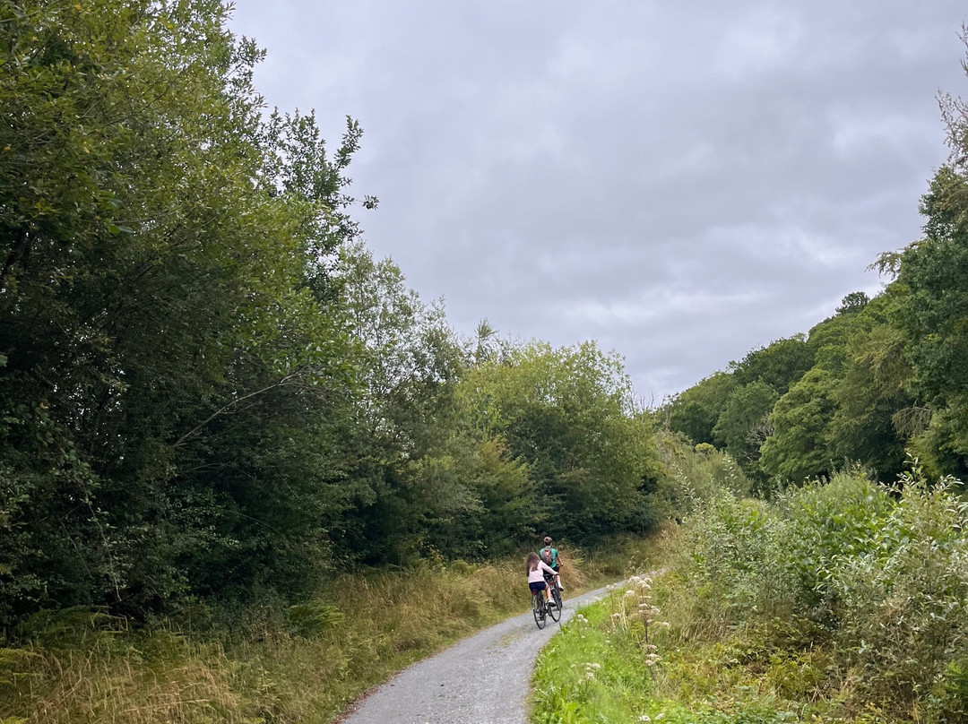 Electric Bike Trails-Leitrim必去景点