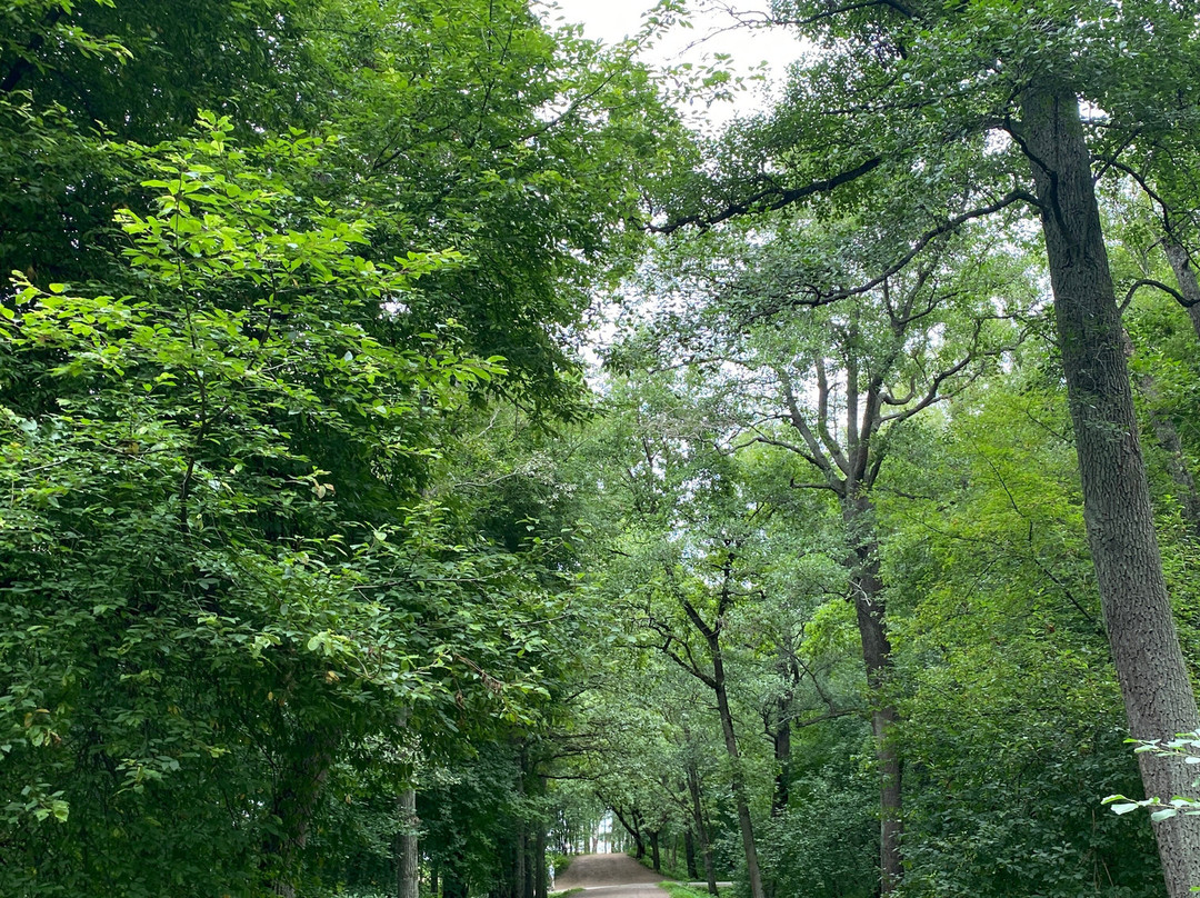Dubki Park of Culture and Leisure-Sestroretsk必去景点