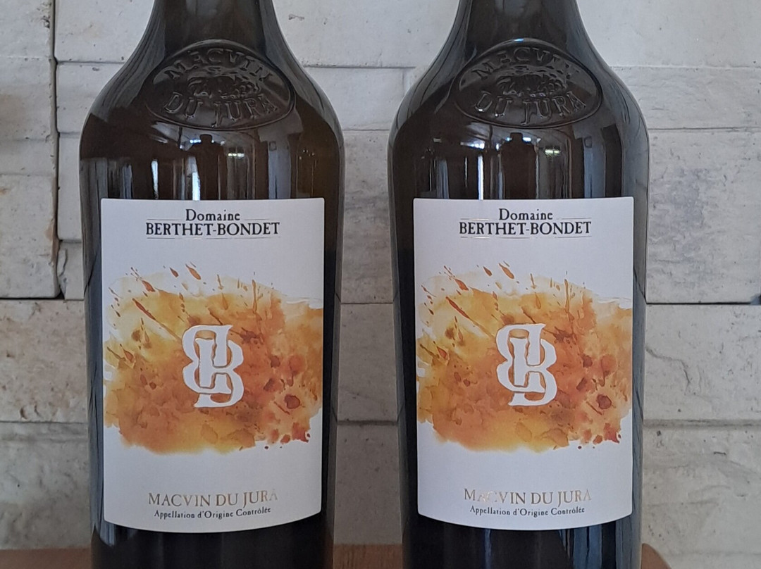 Domaine Berthet-Bondet-Chateau Chalon必去景点
