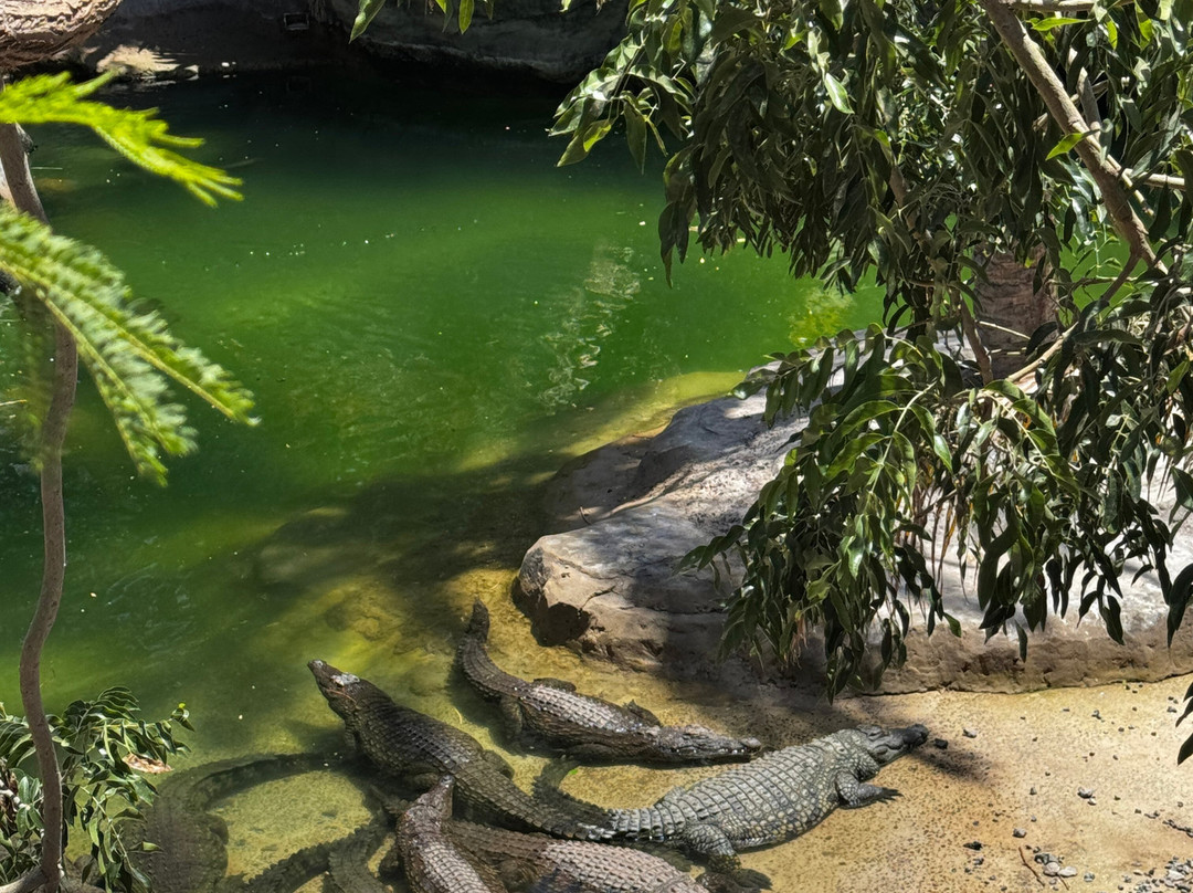 Oasis Park Fuerteventura-La Lajita必去景点