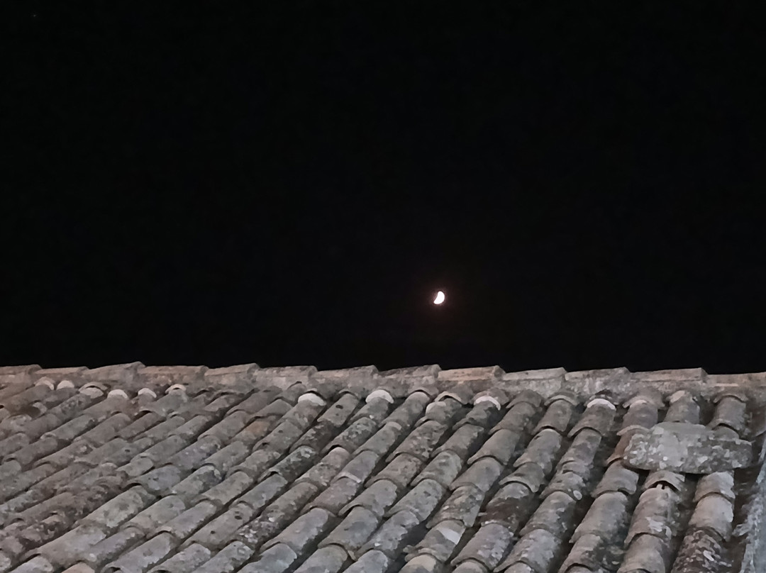 Amoreolio Museo dell'olio di Colobraro-Colobraro必去景点
