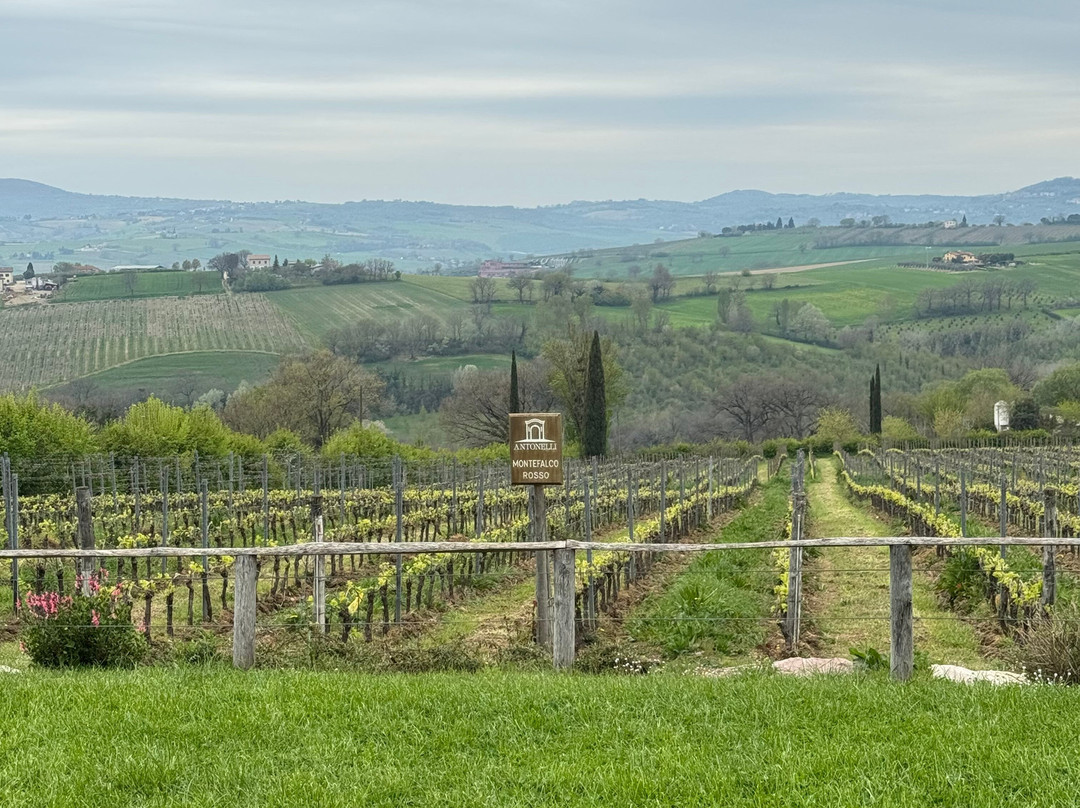 Antonelli San Marco-Montefalco必去景点