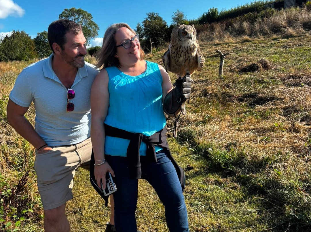 The British Bird of Prey Centre-喀麦登必去景点