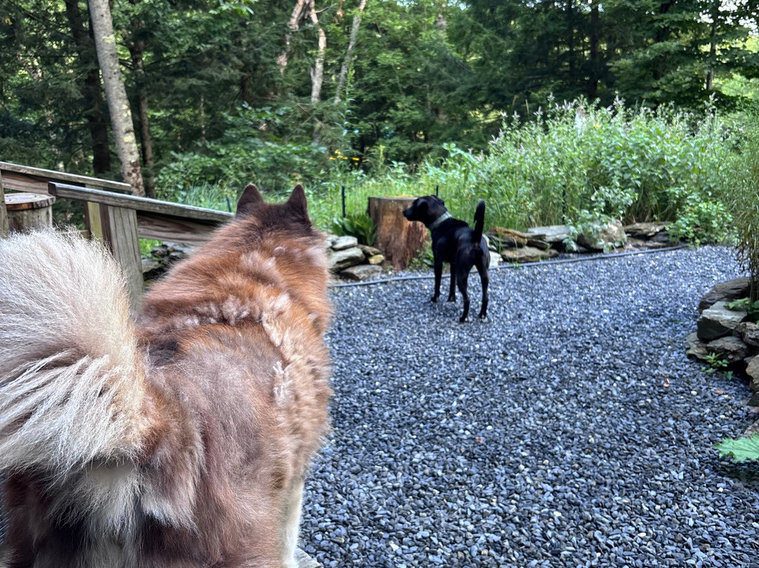 格伦贝格豪斯旅馆和小屋主图