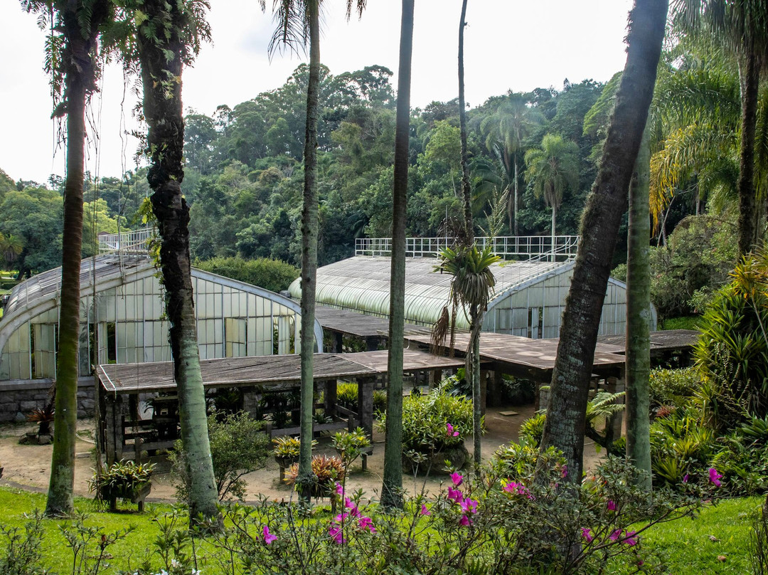 Jardim Botânico de São Paulo-圣保罗必去景点
