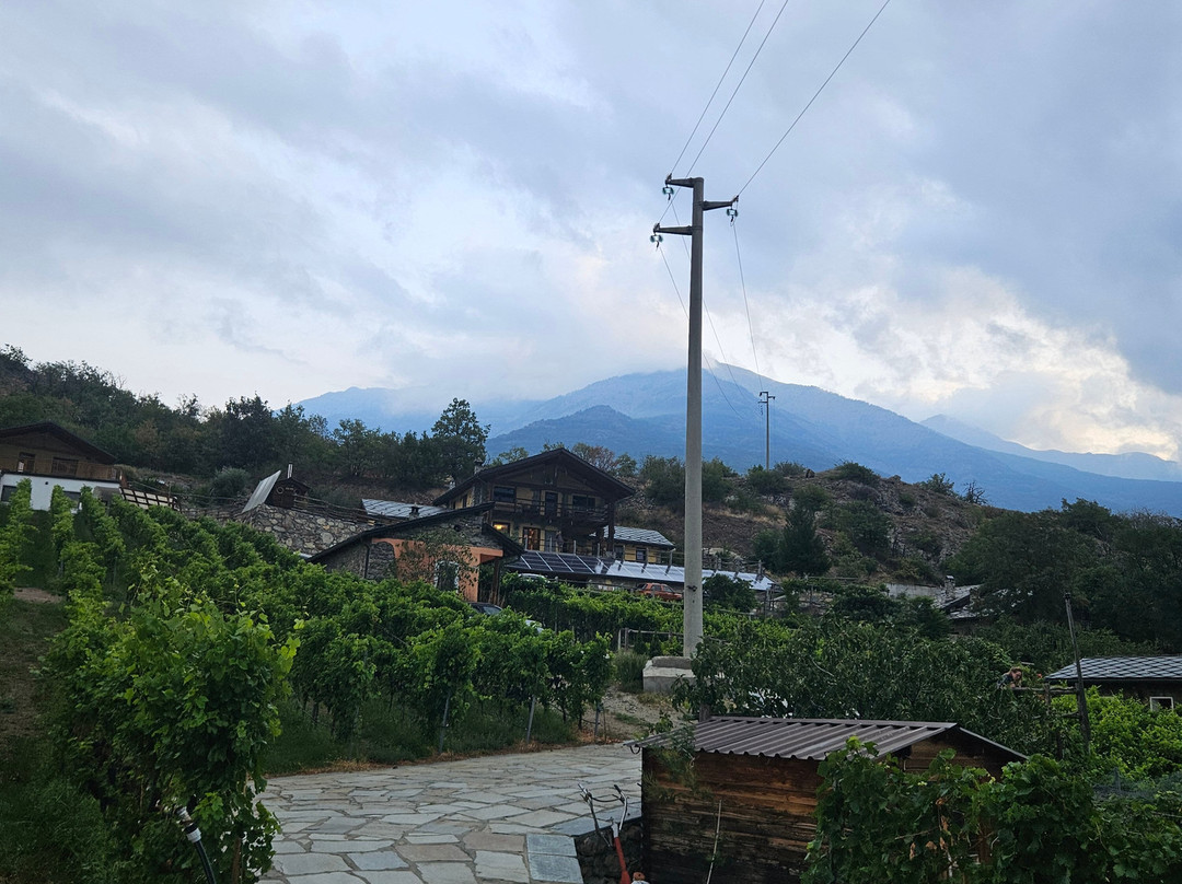 Agriturismo La Viggni de Crest主图
