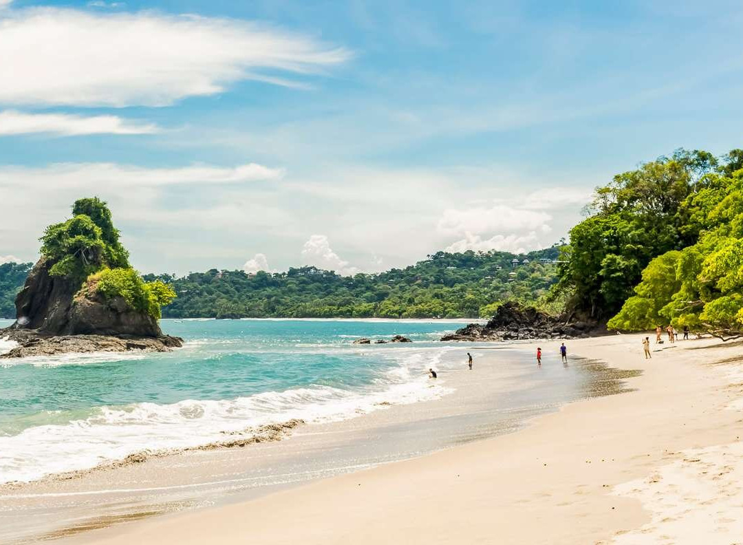 Manuel Antonio Bee Farm Tour-哥斯达黎加安东尼奥国家公园必去景点