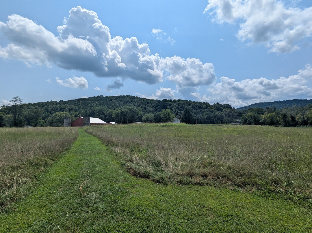 Sgt. Alvin C. York State Historic Park-Pall Mall必去景点