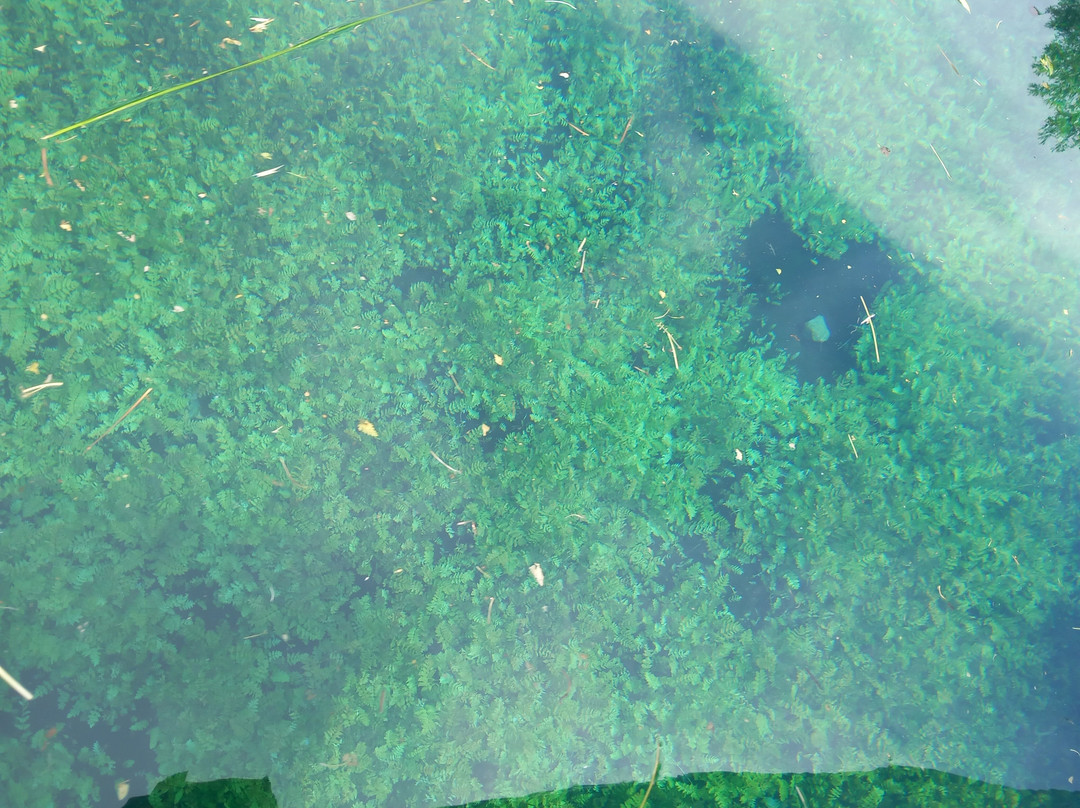 Lago di Capo d'Acqua-Capestrano必去景点