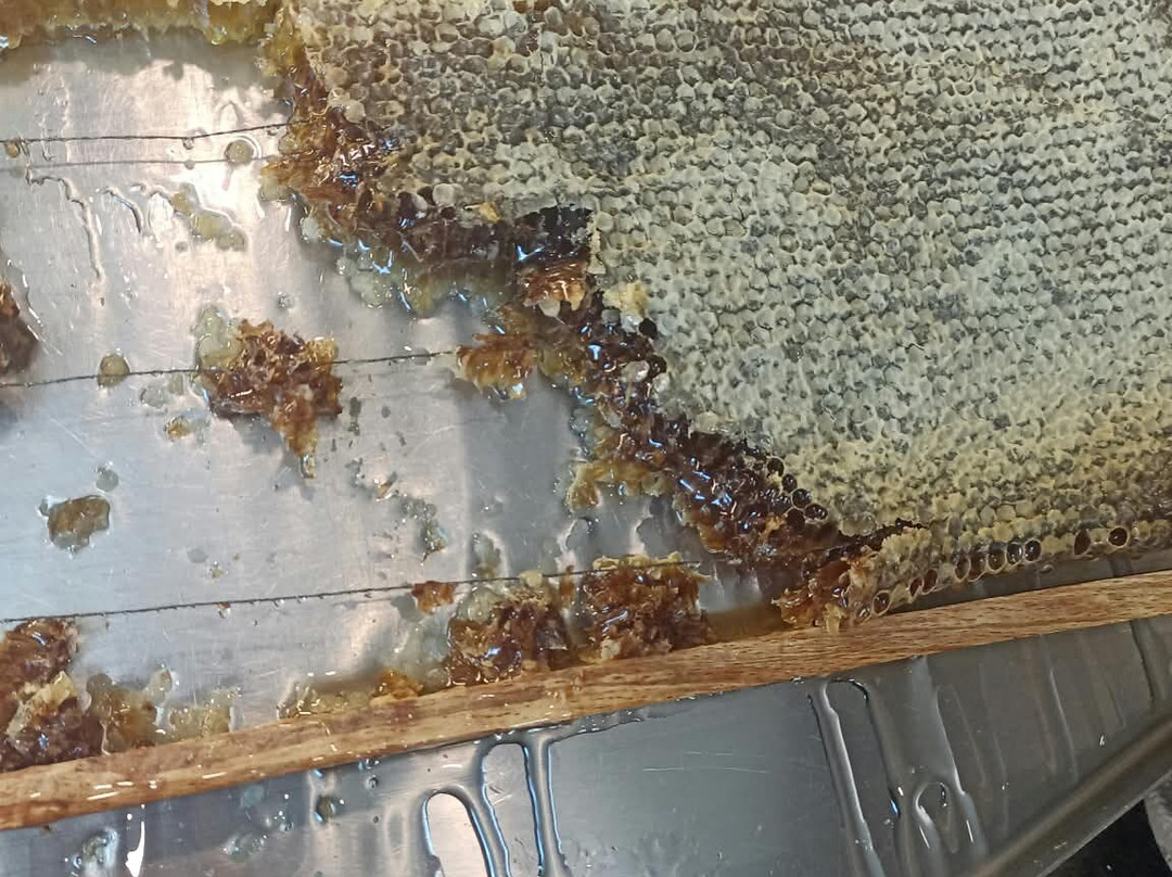 卢莫斯豪华度假酒店及Spa中心主图