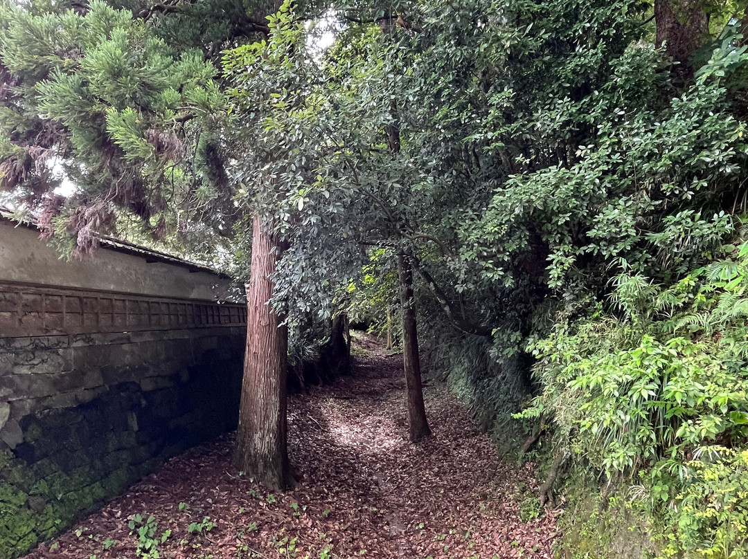 Obijyo Castle Ruins-日南市必去景点