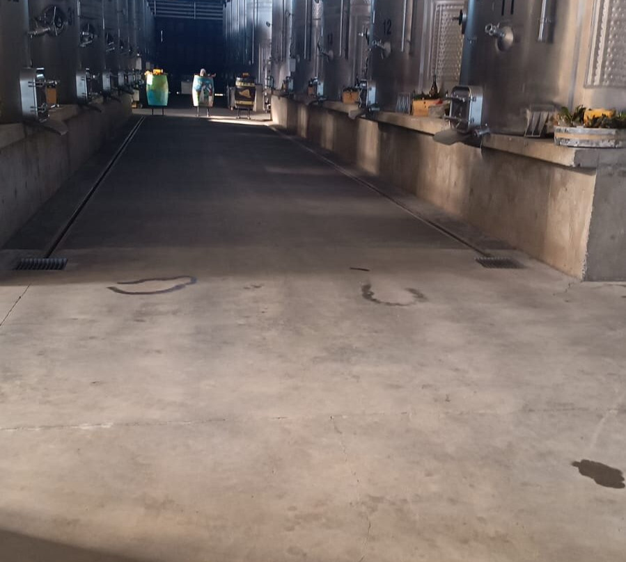 Estampa Winery-Palmilla必去景点