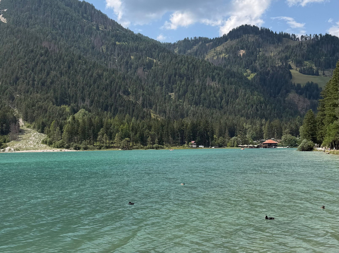 Lago di Dobbiaco-多比亚科必去景点