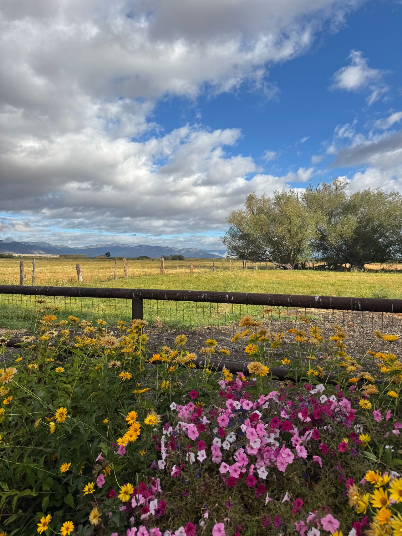 Cockrell's High Desert Lodging-旅行者