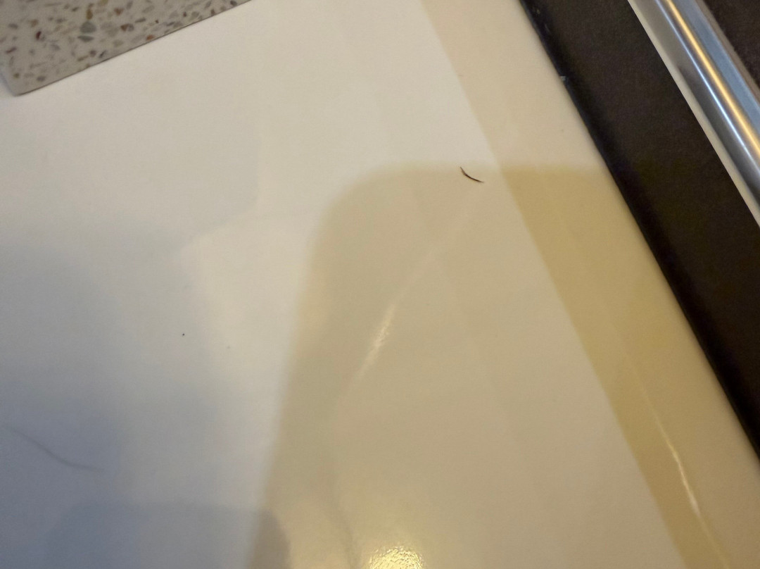 索非亚格拉米酒店主图