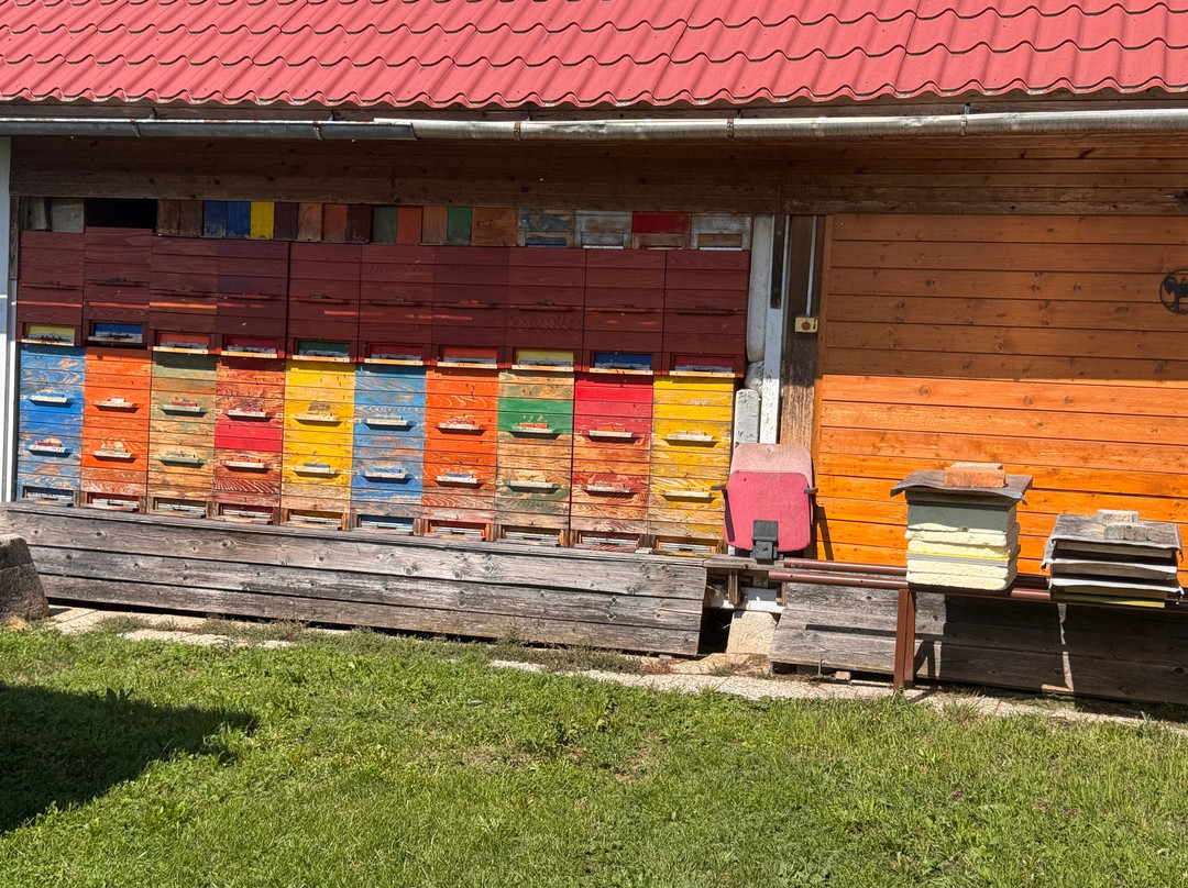 Erik Luznar Beekeeping - Čebelarstvo Erik Luznar