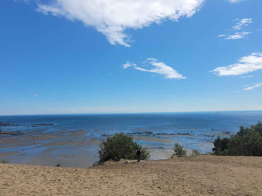 Les Dunes-泰道沙克必去景点
