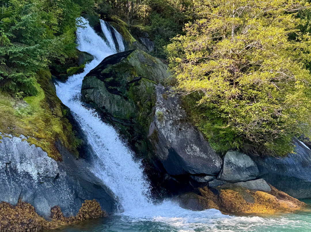 Bella Coola Grizzly Tours-Bella Coola必去景点