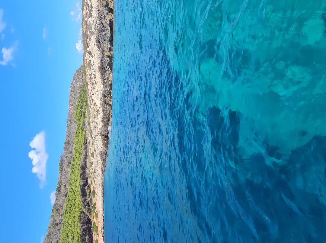 Levanzo in Barca-Levanzo必去景点