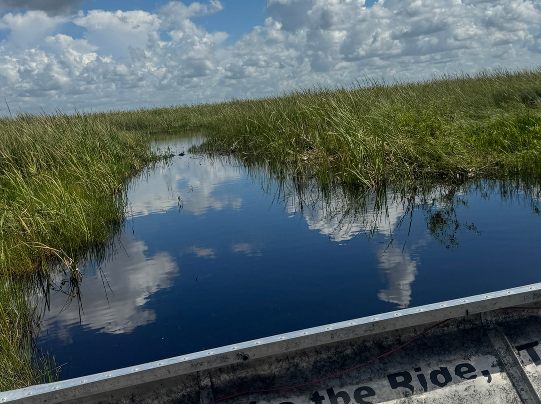Everglades Swamp Tours-Everglades Wildlife Management Area必去景点