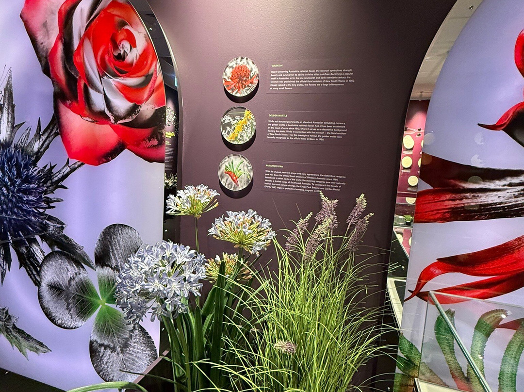 Royal Australian Mint-Deakin必去景点