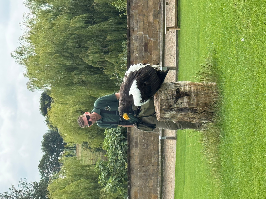 Thirsk Birds Of Prey Centre-瑟斯克必去景点