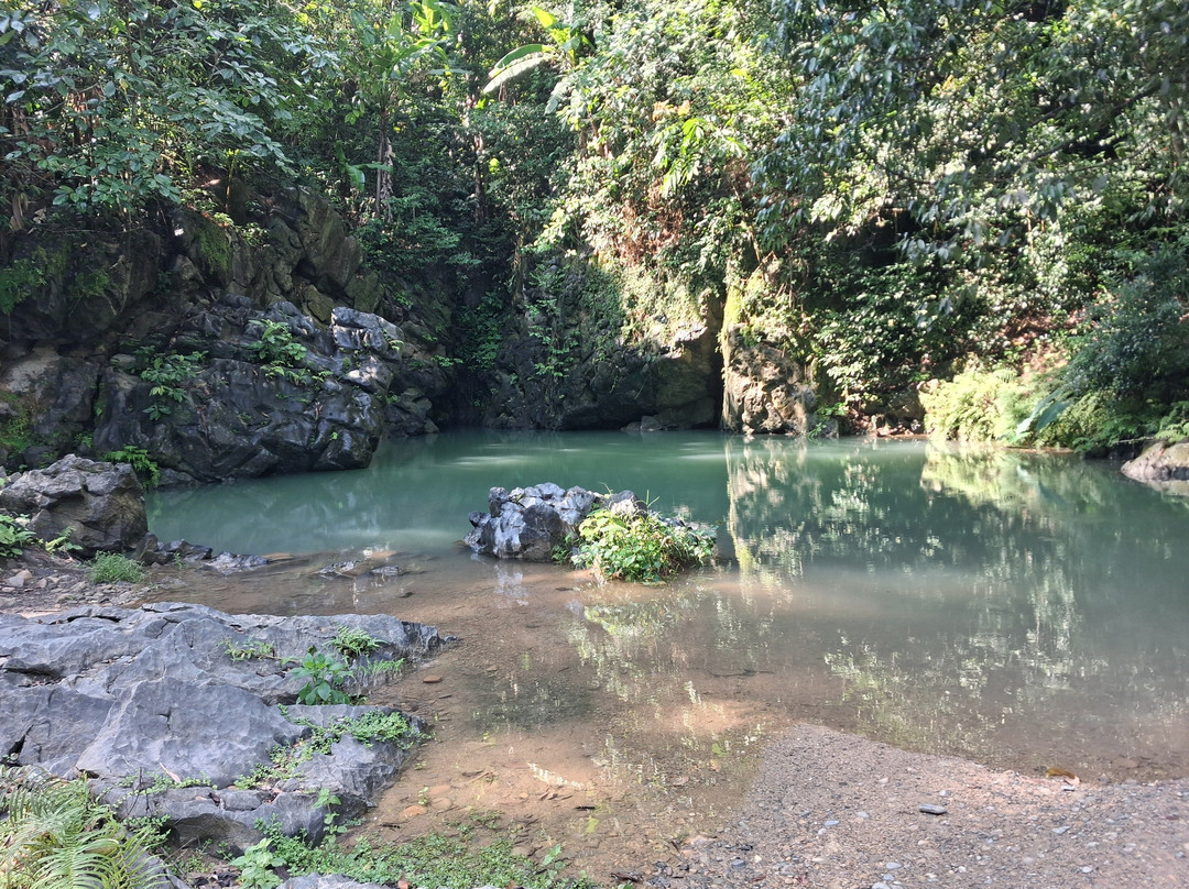 Jungle Boss Tours-峰牙－己榜国家公园必去景点
