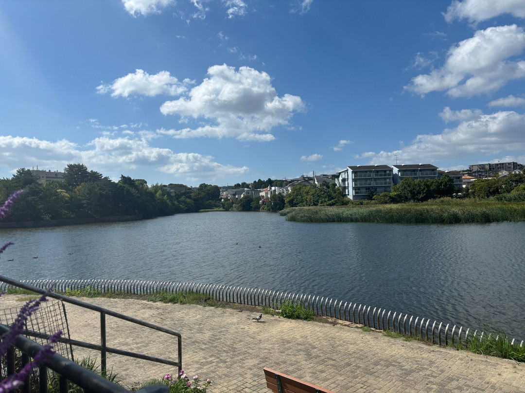 Benten Ike Park-宝冢市必去景点
