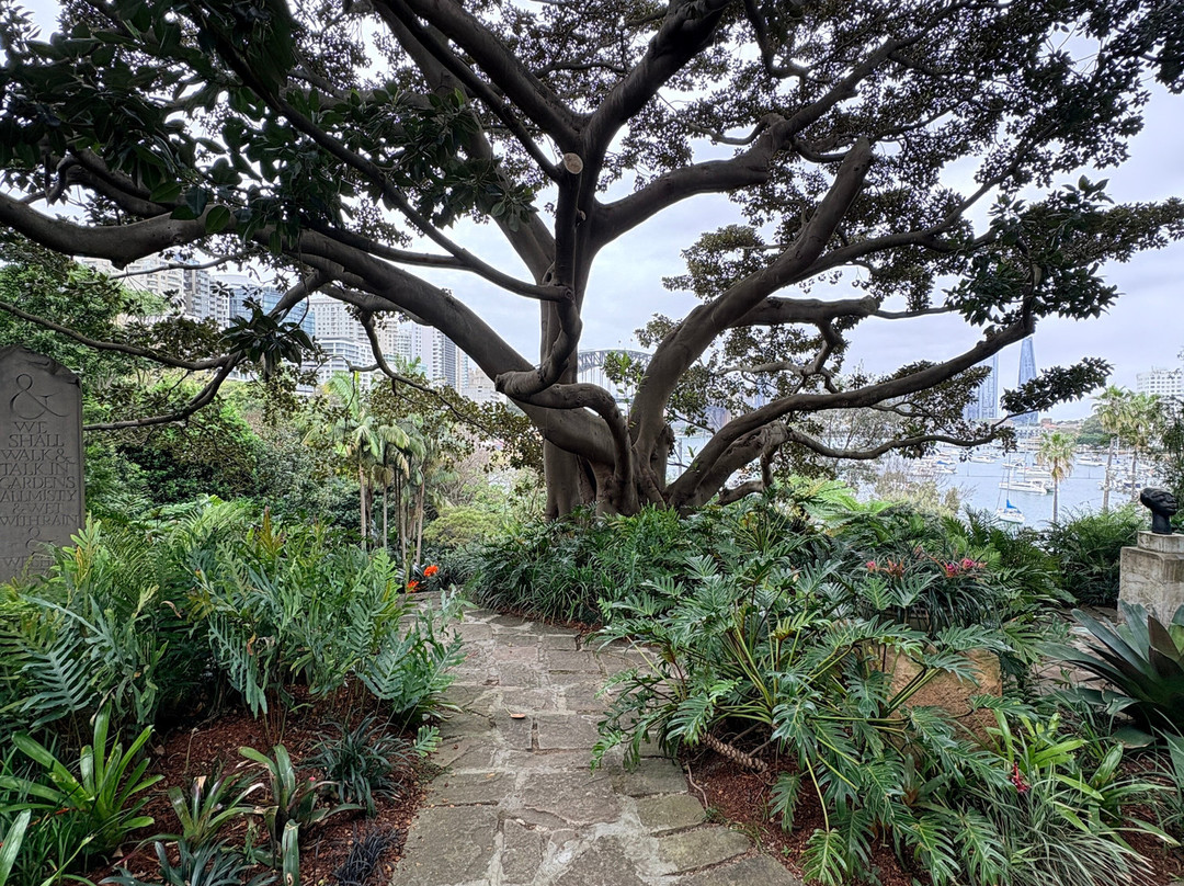 Wendy Whiteley's Secret Garden-北悉尼必去景点