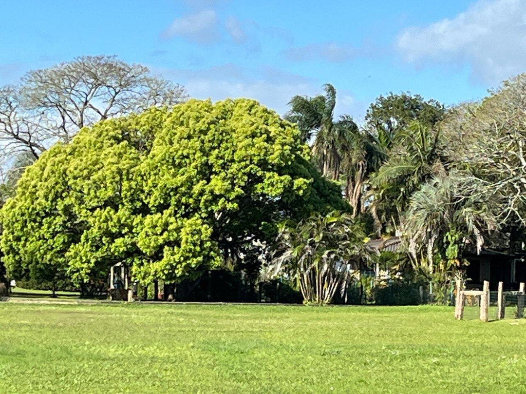 Jardim Botânico-阿雷格里港必去景点