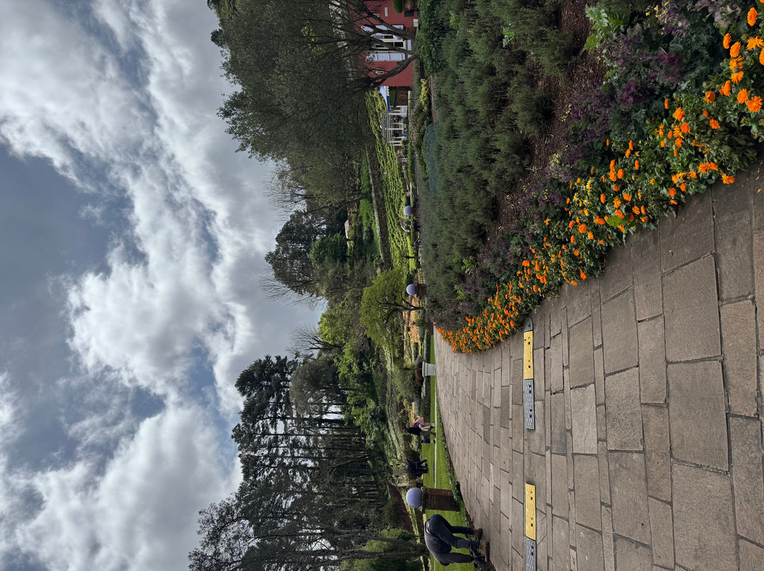 Le Jardin Parque de Lavanda-格拉玛多必去景点