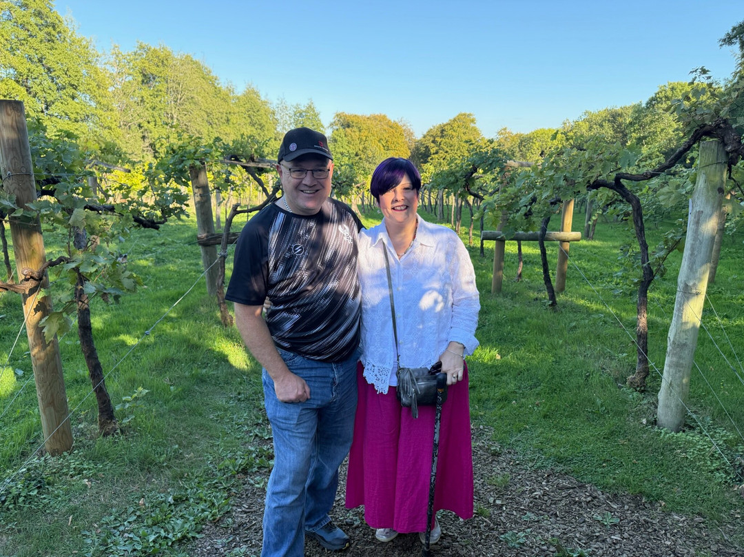 Chiltern Valley Winery & Brewery-泰晤士河畔亨利必去景点