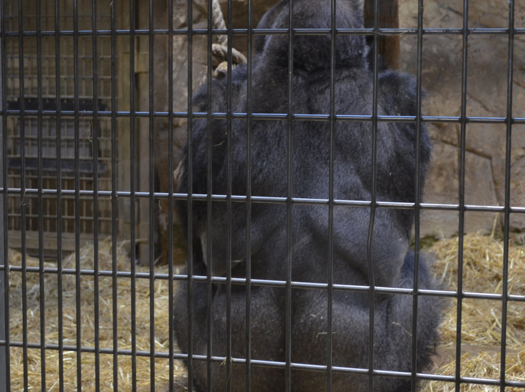 Zoo Duisburg-杜伊斯堡必去景点