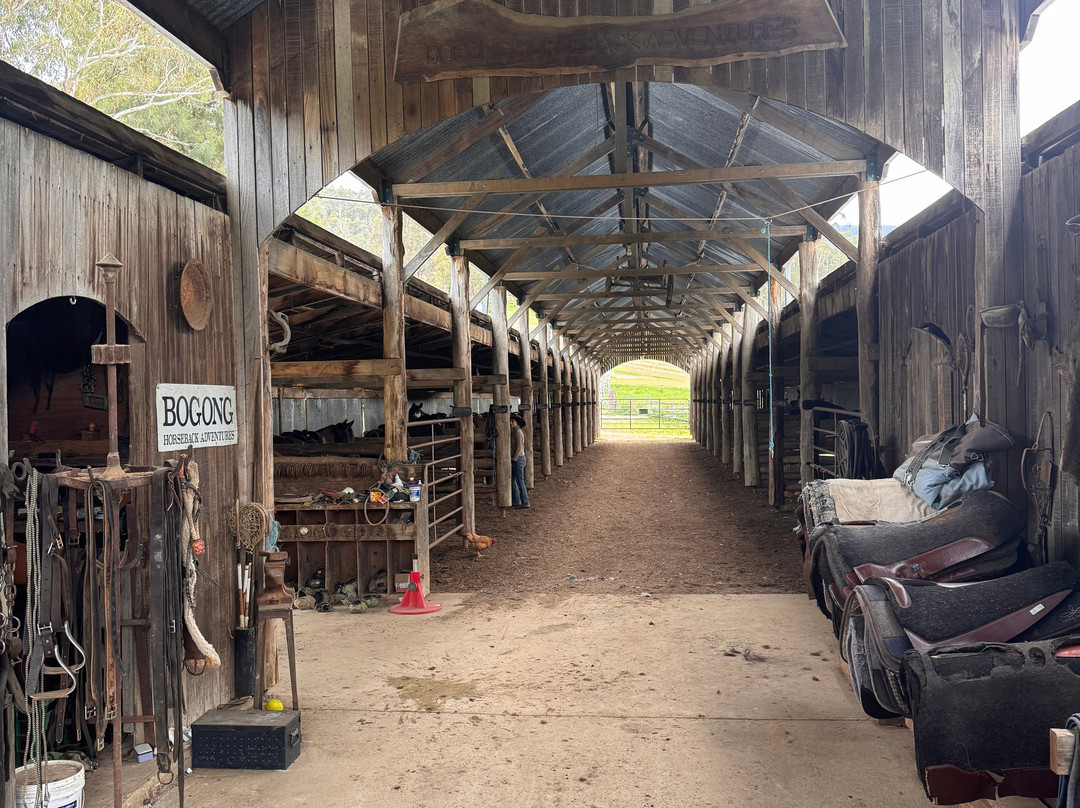 Bogong Horseback Adventures-Tawonga必去景点