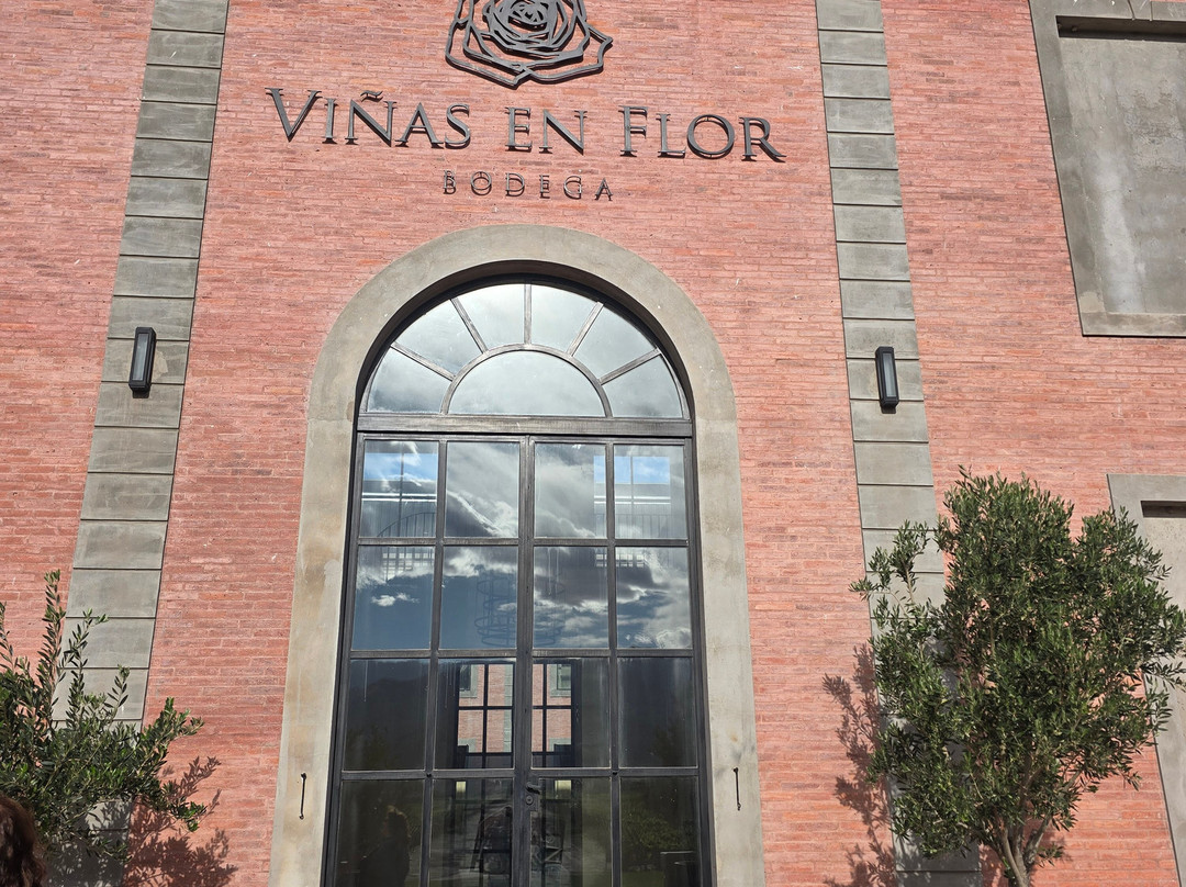 Viñas En Flor Bodega-卡法亚特必去景点