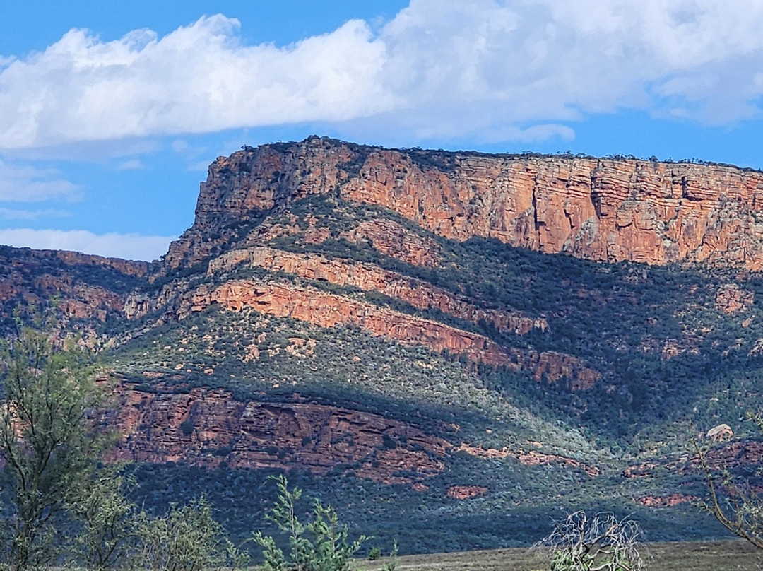 Gekko Safari - Outback Tours-Belair必去景点