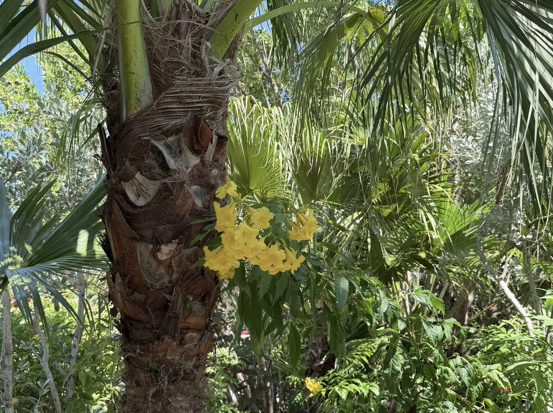 Coco Cay-Berry Islands必去景点