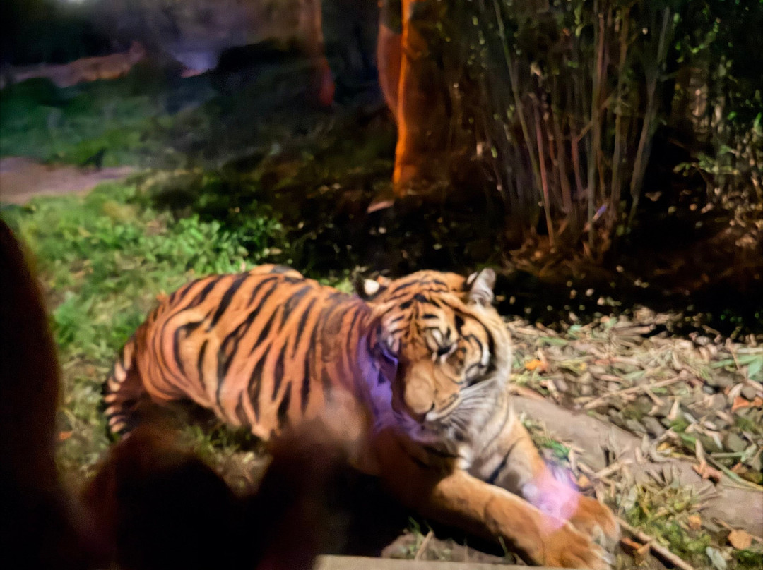 Safari Lodges At West Midlands Safari Park主图