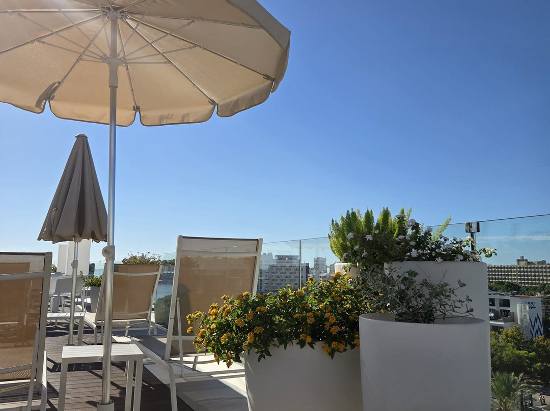 Palma Nova Beach-Palmanova必去景点